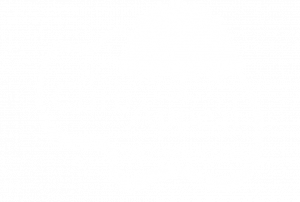 NC Curb Appeal Official Logo (White)